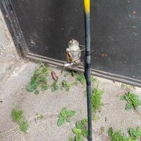 Canna da pesca da trota