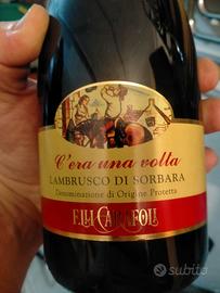 2 bottiglie di Lambrusco 