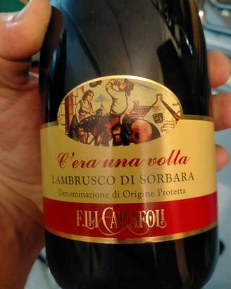 2 bottiglie di Lambrusco 