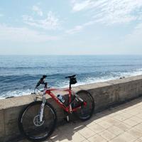 MTB FRW Harder 