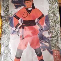 vestiti di Carnevale "Ninja," Indiano"