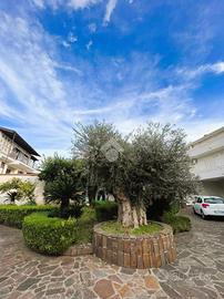 VILLA SINGOLA A CASAPESENNA