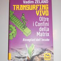 Transurfing vivo + Itfat - Vadim Zeland