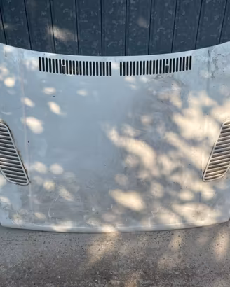 Cofano Golf 2