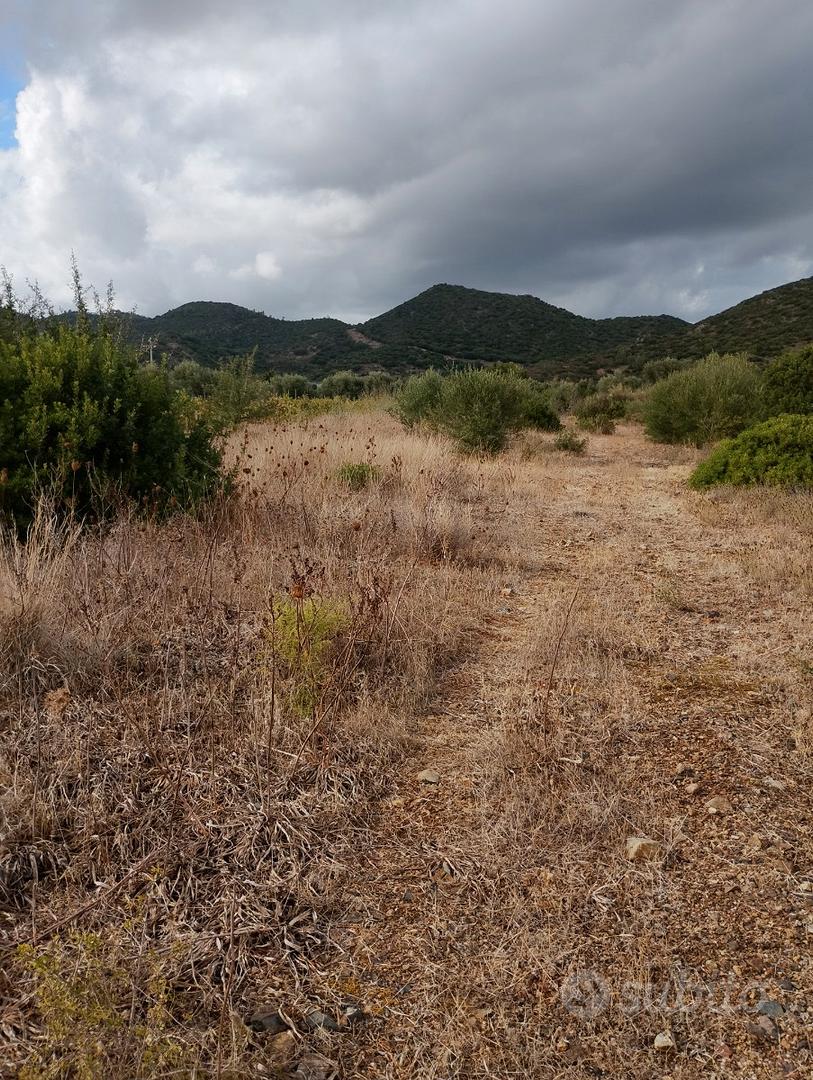 Terreno agricolo - Vista 3