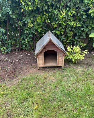 cuccia per cani 