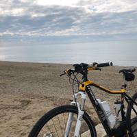 Mountain  bike Haibike