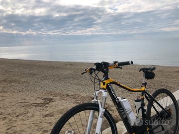 Mountain  bike Haibike