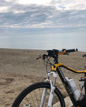 Mountain  bike Haibike