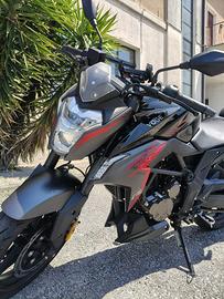VOGE brivido 300r del 08/2025
