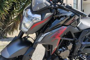 VOGE brivido 300r del 08/2025