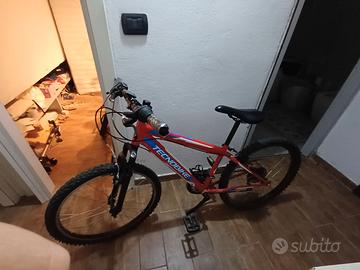 Bici tecnobike