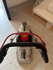 Tagliaerba elettrico