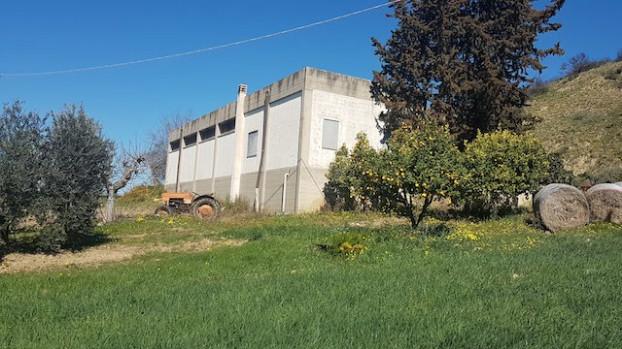 AZIENDA AGRICOLA vicino FERRANDINA SCALO