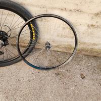 Cerchio posteriore 26