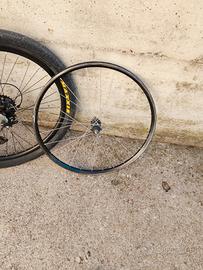 Cerchio posteriore 26