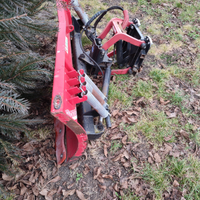 Lama/pala sgombraneve