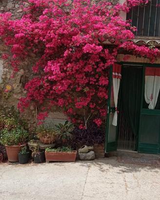 Casa di campagna
