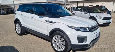 Land Rover Range Evoque 2.0 TD4 150 CV 5p. Pure