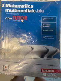 MATEMATICA MULTIMEDIALE BLU 2