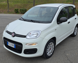 Fiat Panda 2019 1.2 benzina 5 posti sensori park