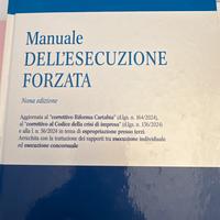 Manuale dell’esecuzione forzata Soldi