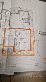 Trilocale nuovissimo