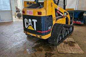 Cat 247