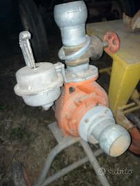 Pompa acqua carnevali