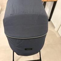 Navicella inglesina aptica