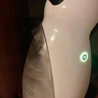 Nescafe dolce gusto  (de longhi)