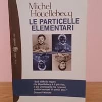 Le particelle elementari