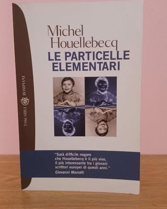 Le particelle elementari