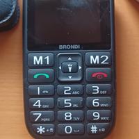 Brondi Amico Stiloso