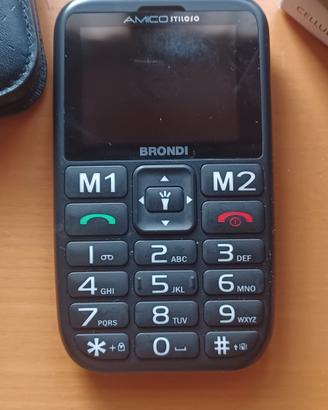 Brondi Amico Stiloso