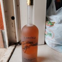 Bottiglia Vintage Lánchíd Budapest 