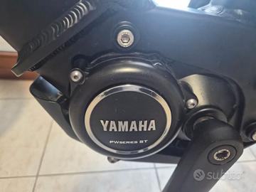 E BIKE MTB RAYMON HARDRAYL E 5.0