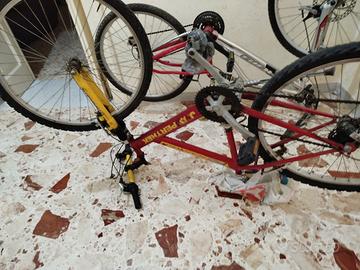 bici MTB 