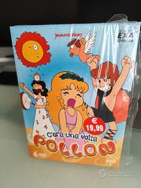 Raccolta DVD Pollon