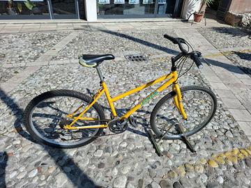 Mountain-Bike,cambio shimano.