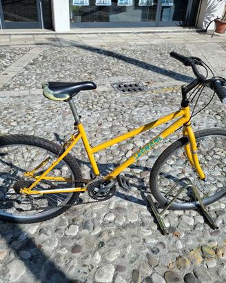 Mountain-Bike,cambio shimano.