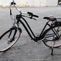 Bici elettrica 