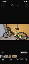 Bicicletta assistita