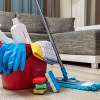 Pulizie domestiche e attivita commerciali