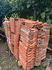 Tegole portoghesi pica