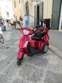 Scooter elettrico per disabili