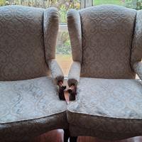 poltrone in tessuto damascato