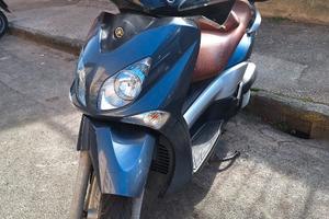 Yamaha xcity 250 2008