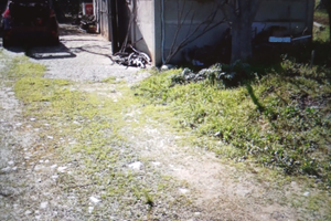 Terreno edificabile con vecchio fabbricato