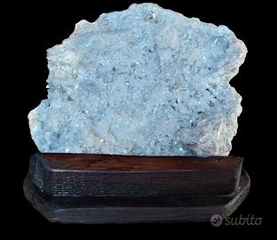 Scenica Drusa di Celestina di 12 kg.